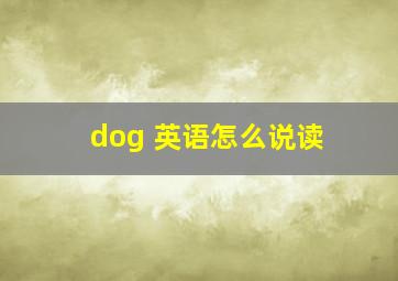 dog 英语怎么说读